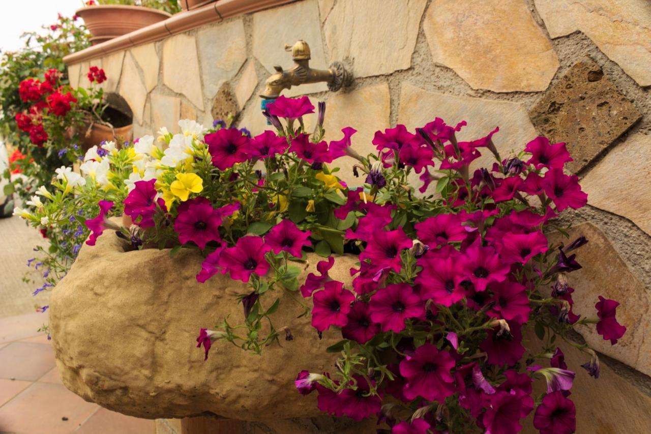 La Casa Di Bia Bed & Breakfast Корлеоне Екстериор снимка
